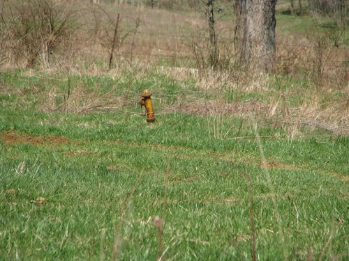 Property photo 30 - 137 Acres in 2 Tracts - 64 Tillable Acres, Potential Building Sites, Hunting